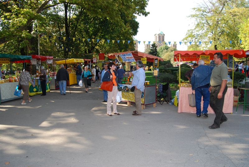 pcelarstvo_tasmajdan_2010